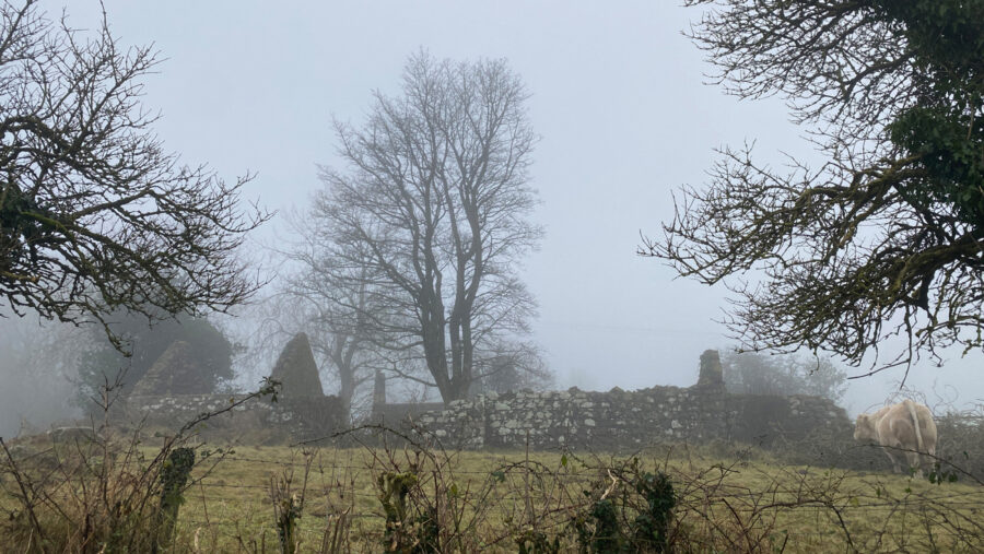 Barneys Ruins Irisharchitecture awardwinning ireland Barneysruins 1