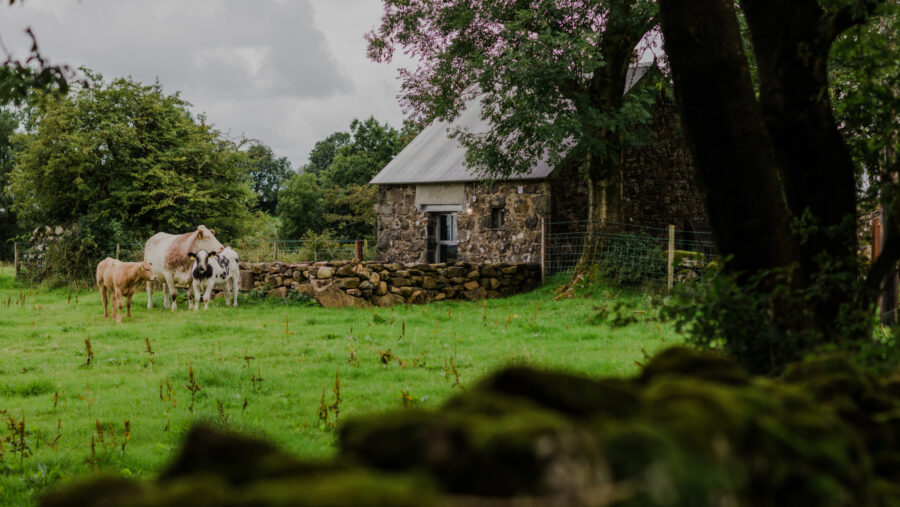 Barneys Ruins Irisharchitecture awardwinning ireland Barneysruins 12