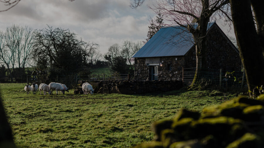 Patrick Bradley Architects Barneys Ruins Irish Clachan Ireland Staycation Vernacular Contemporary Cool Northern Ireland Irish 02